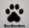 Bulldogsinfo